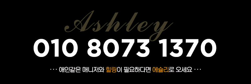 시흥 핸플페티쉬 애슐리 010-8073-1370 6