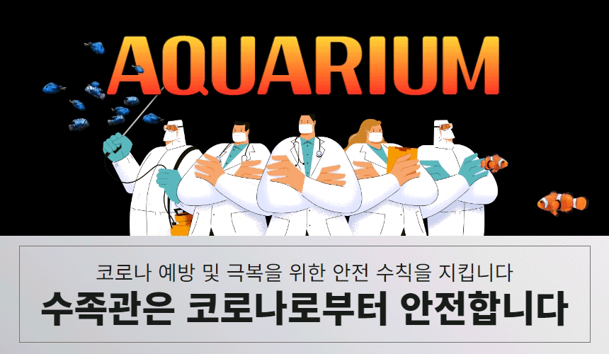 수유 휴게텔 수족관 010-8304-9923 2